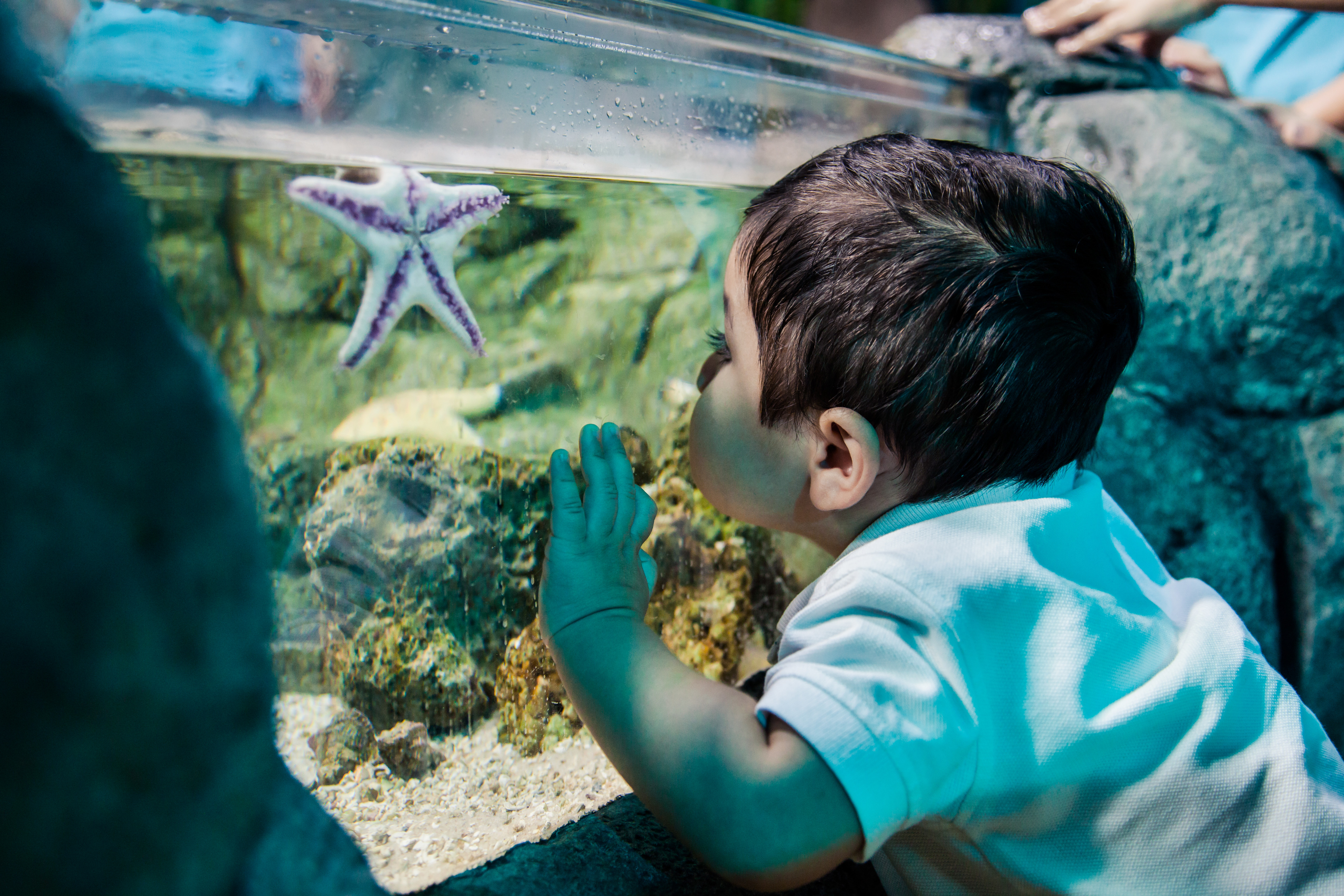 SEA LIFE at Chessington World of Adventures Resort