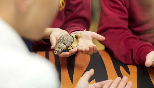 School workshop at Chessington World of Adventures Resort