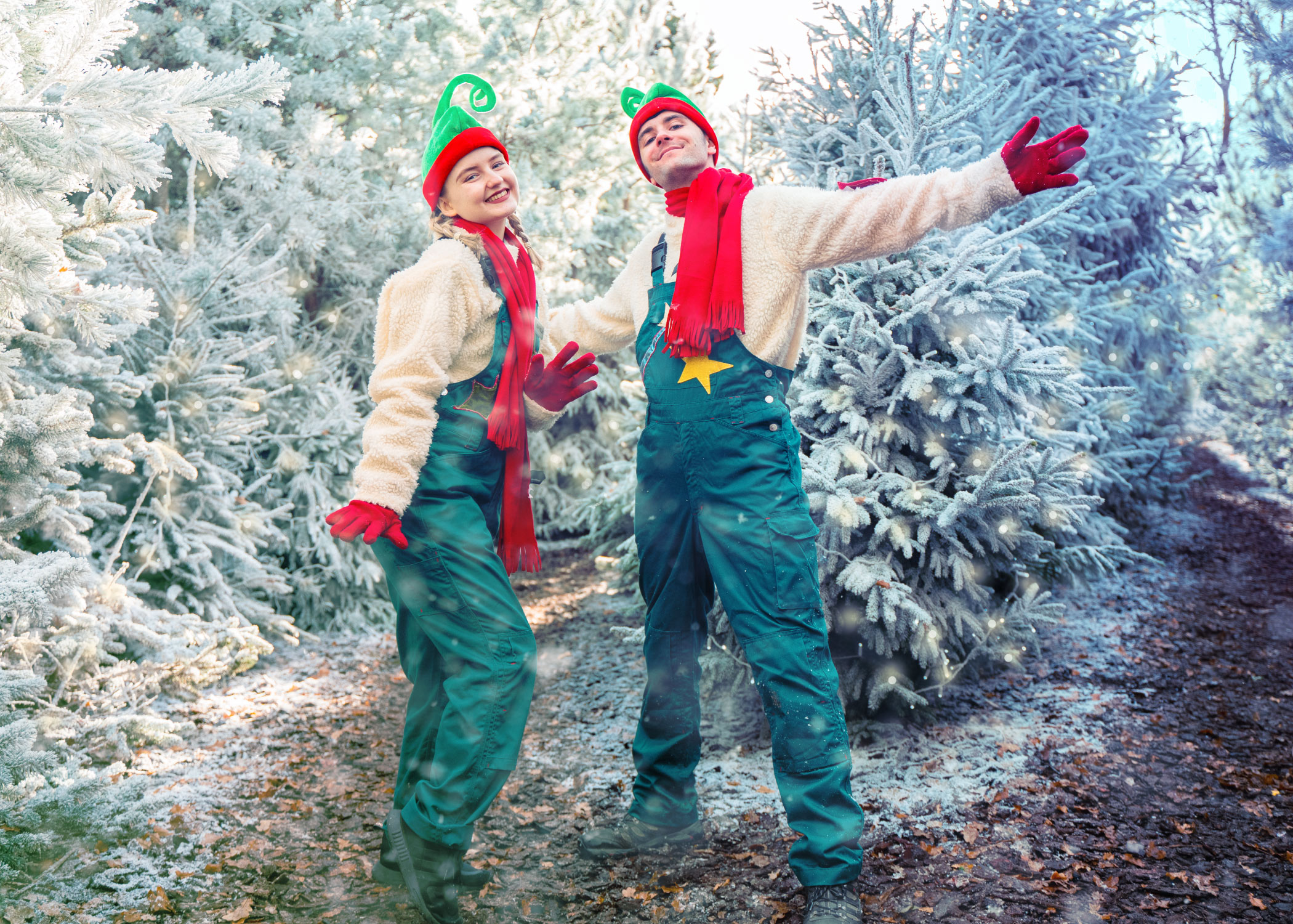 Winter's Tail Elves at Chessington