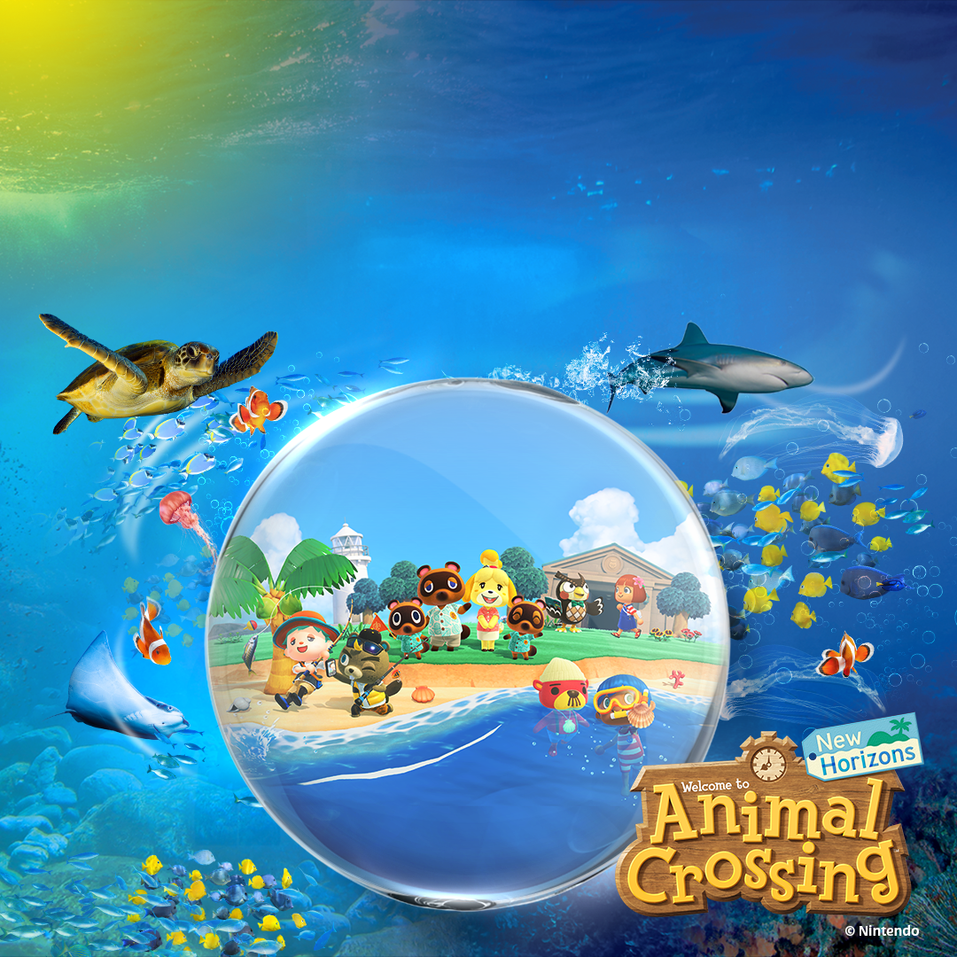 Animal Crossing X Sea Life graphic 