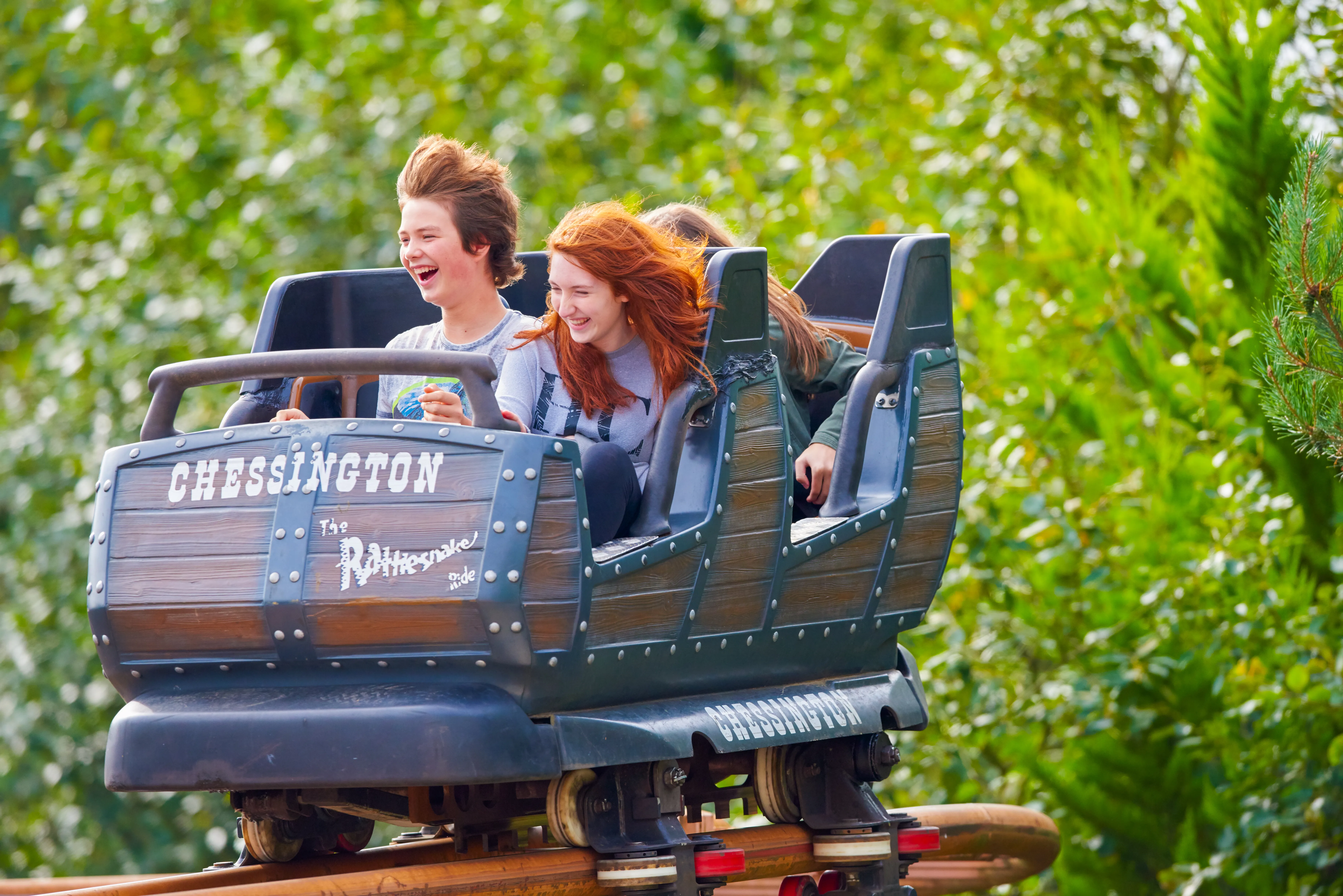 Guests on Rattlesnake