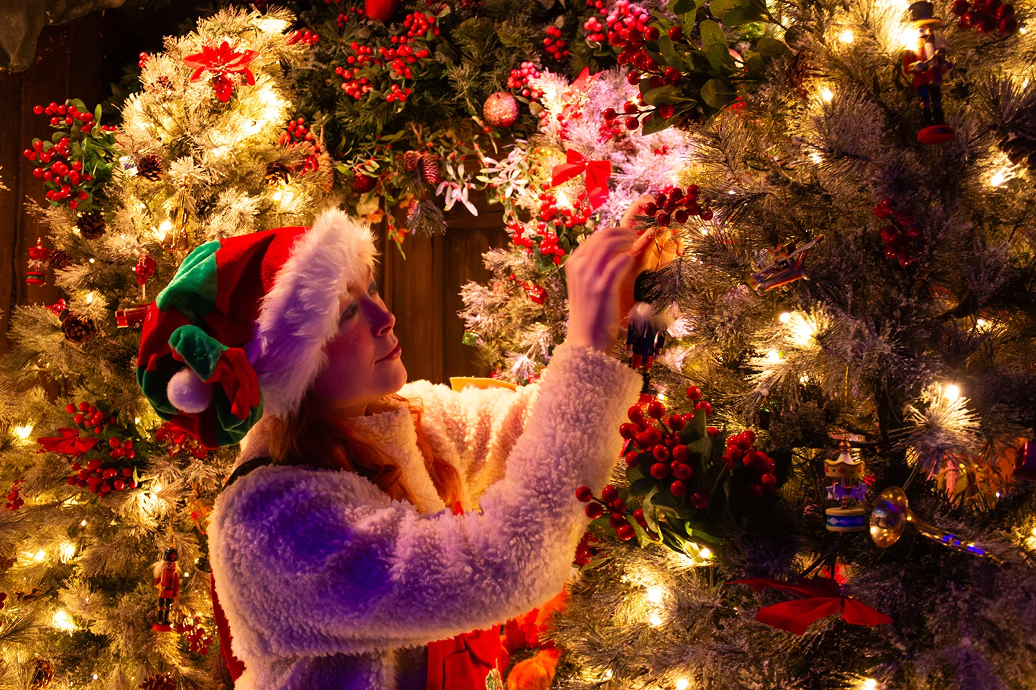 WINTERS TAIL Enchanted Hollow