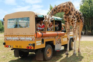 Chessington Zoo VIP Experiences
