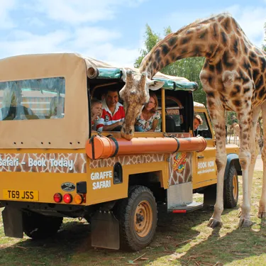 Chessington Zoo VIP Experiences