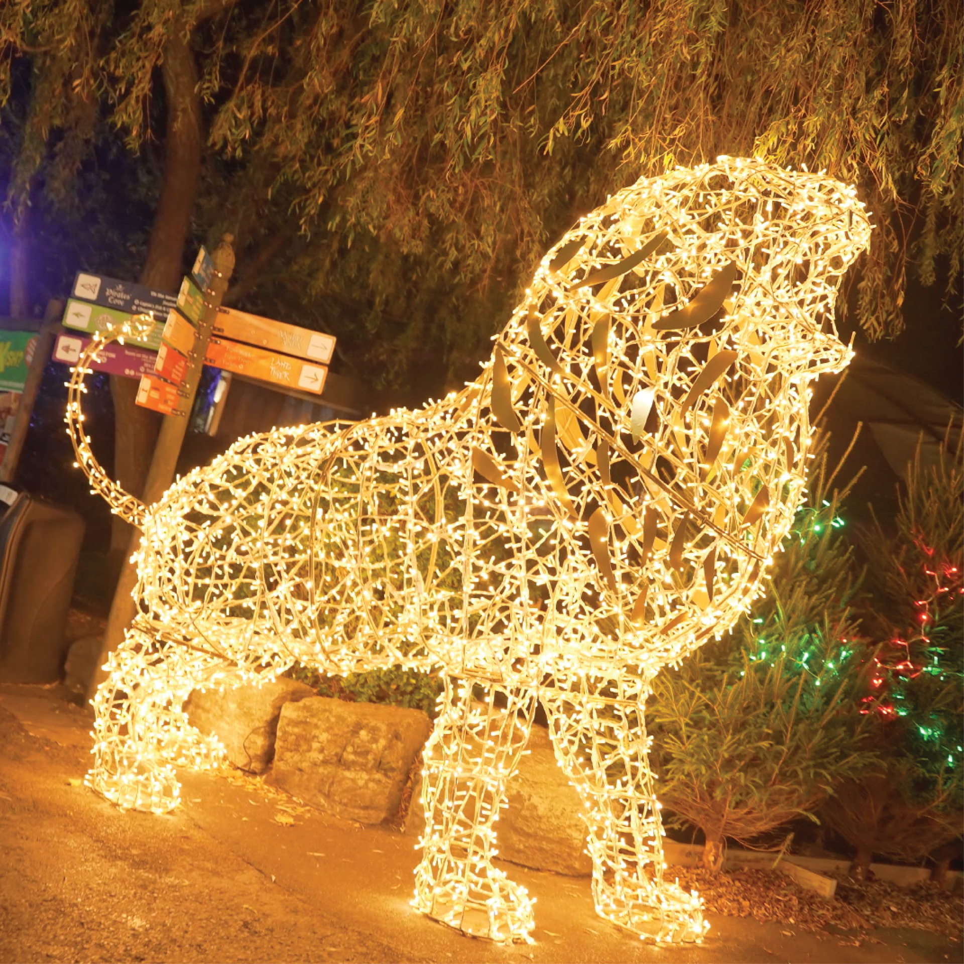 Festive trail lights