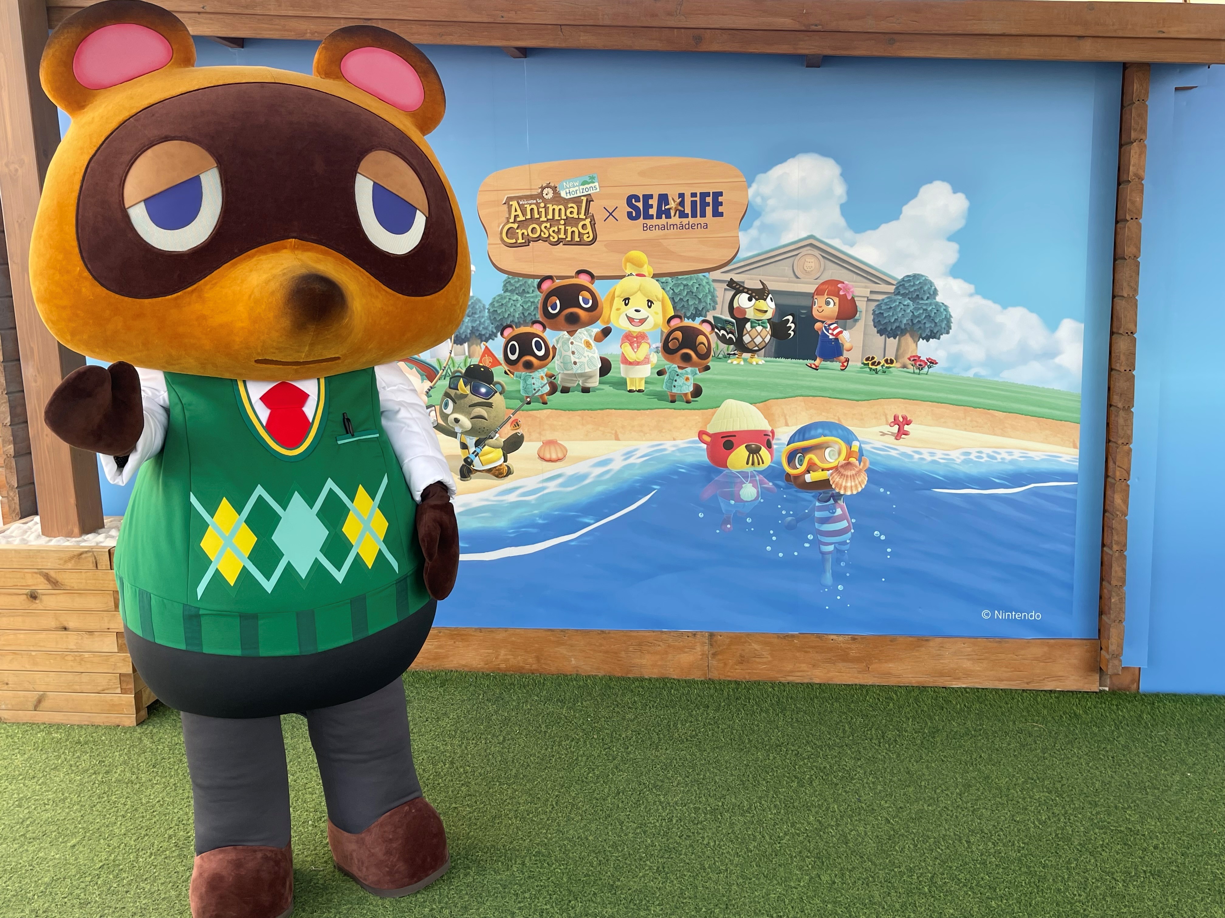 Tom Nook