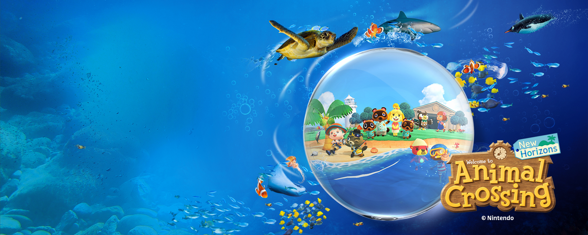 Animal Crossing X Sea Life graphic 