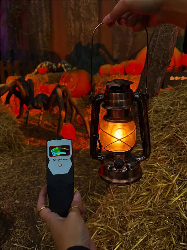 Chessington Ghost Tours