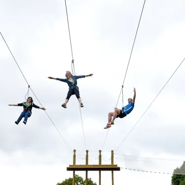 Four Man Zip Go Ape At Chessington World Of Adventures Resort (5)
