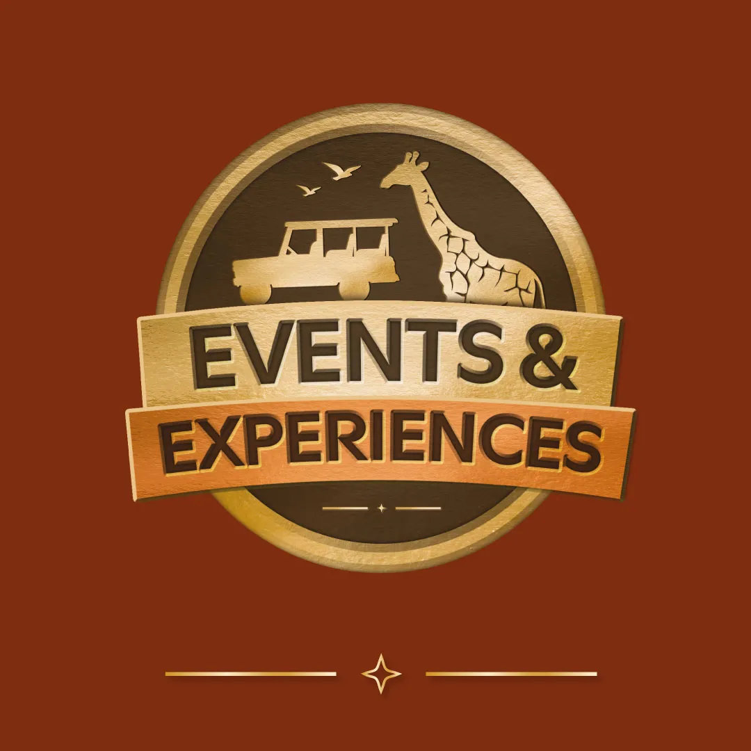 VIP PACKAGES 1X1