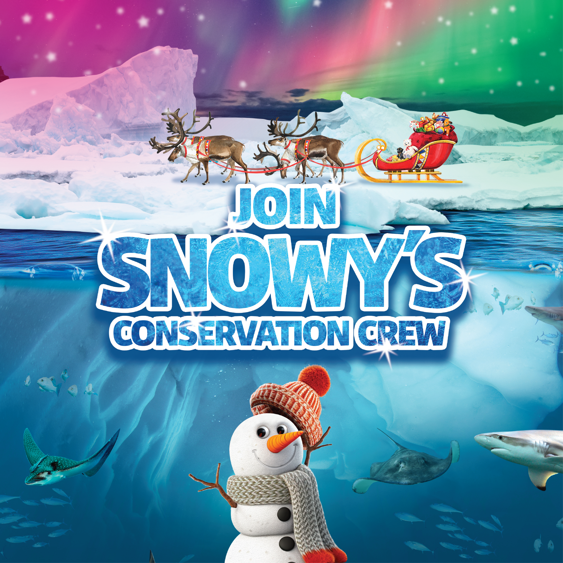 Join Snowy's Conservation Crew graphic