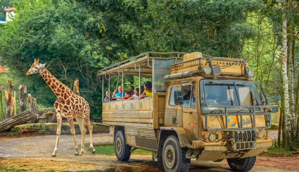 ZUFARI At Chessington World Of Adventures Resort Copy