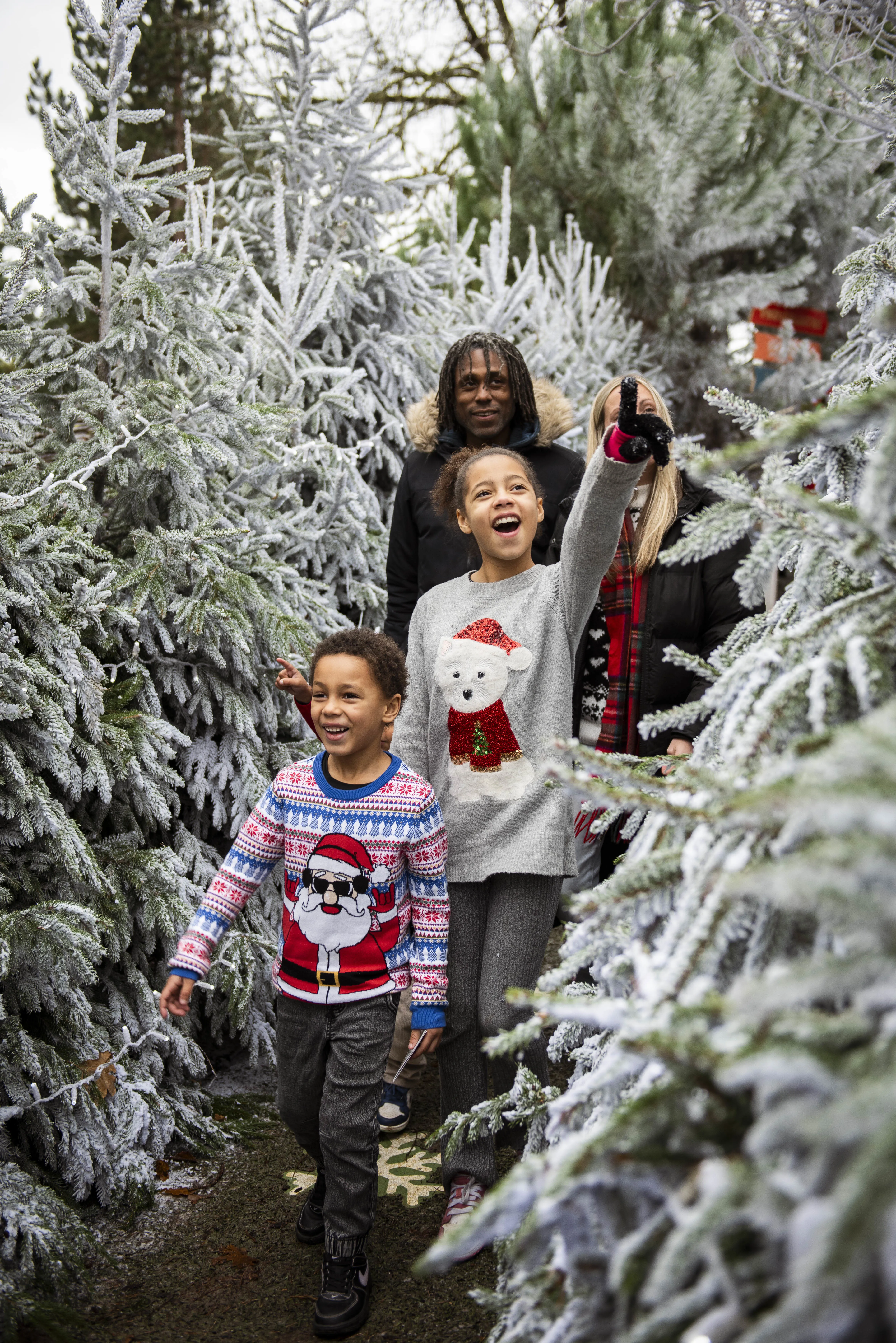 Family walking through snow covered trees on the way to meet Father Christmas at Chessington