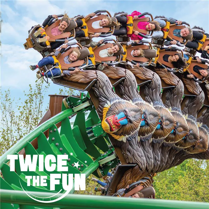 Twice The Fun Square