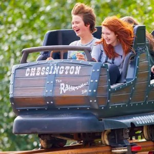 Rattlesnake Theme Park Ride