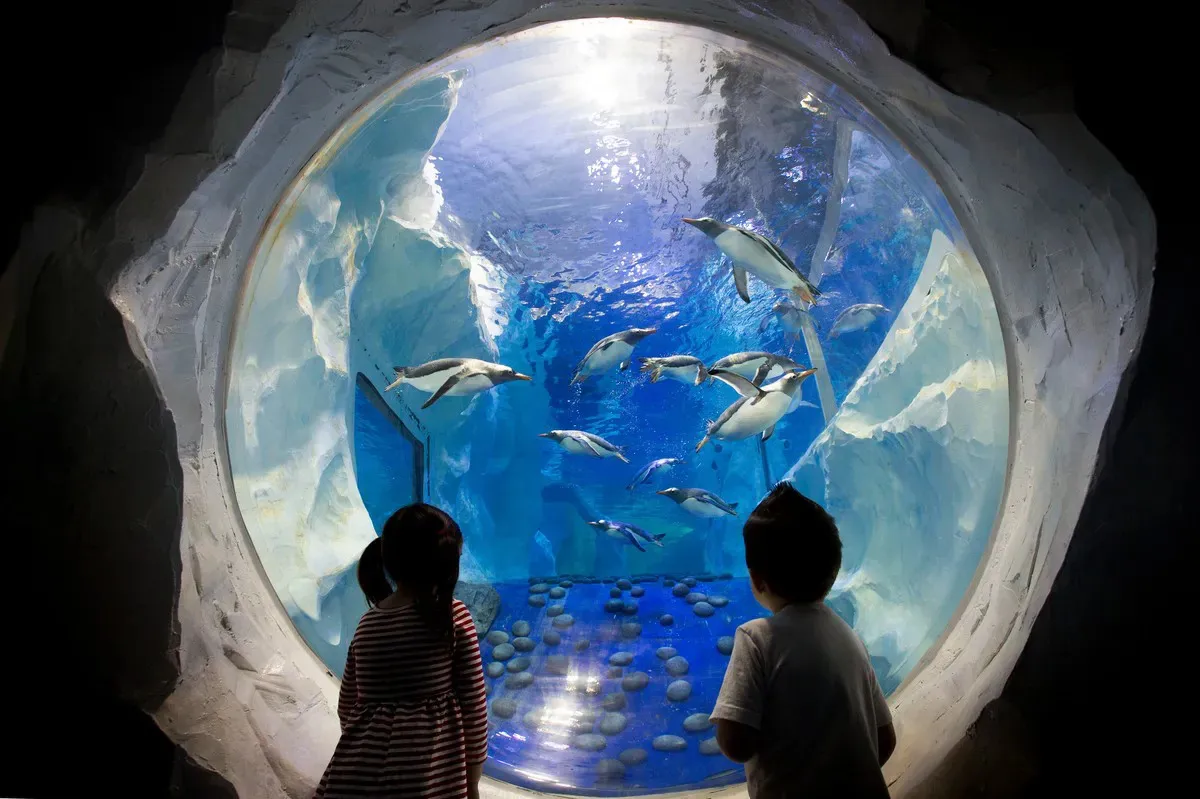 SEA LIFE Birmingham