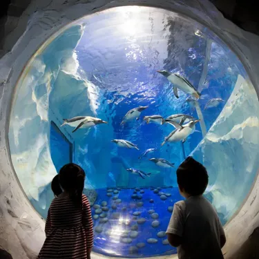 SEA LIFE Birmingham