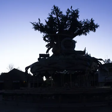 Adventure Tree Silhoutte