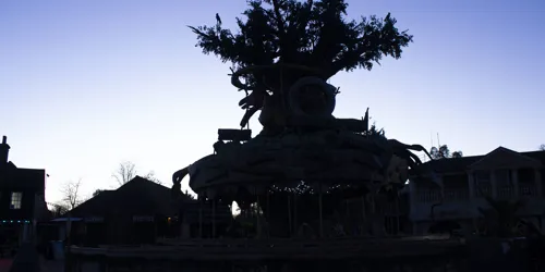 Adventure Tree Silhoutte