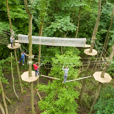Brand New Go Ape Tree Top Adventure At Chessington World Of Adventures Resort