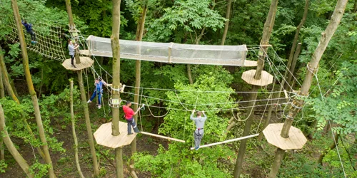 Brand New Go Ape Tree Top Adventure At Chessington World Of Adventures Resort